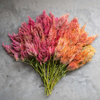 An overhead of Celosia Spun Sugar