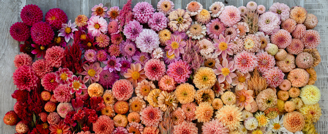 Floret Shop