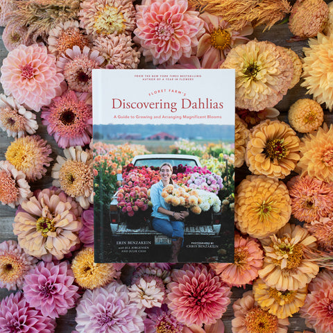 An overhead of Floret Farm’s Discovering Dahlias book surrounded by Floret Original blooms