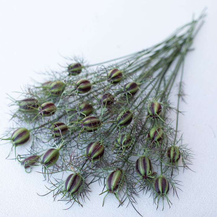 A bunch of Love-in-a-Mist Miss Jekyll Rose