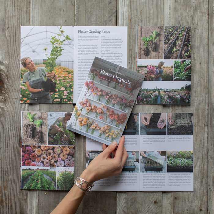 An overhead of the Floret Originals growing guide