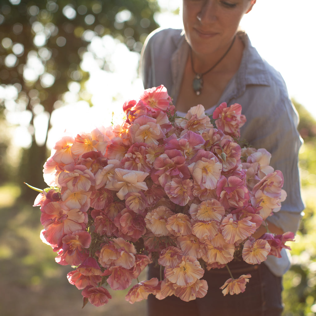 Silk Vision Flowers Cerritos California Best Flower Site