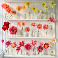 Studio shelf filled with blooms from Dahlia Bee’s Choice