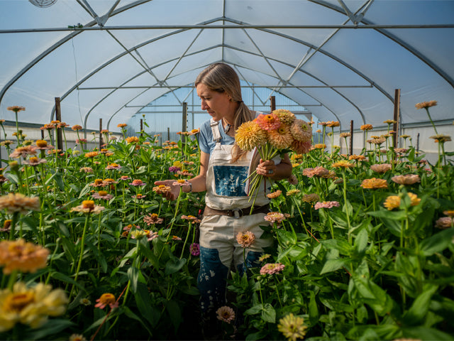 Erin Benzakein in a Floret breeding greenhouse