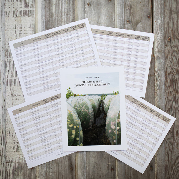 An overhead of the Bloom to Seed book bonus materials.