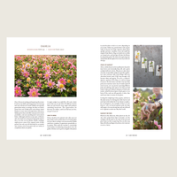 An example of two pages within Bloom to Seed.