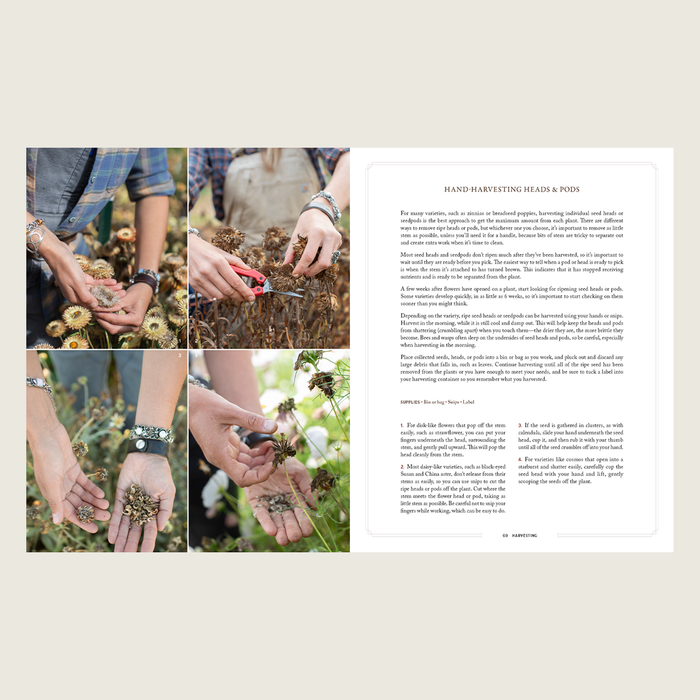 An example of two pages within Bloom to Seed.