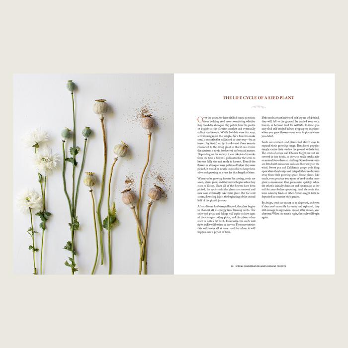 An example of two pages within Bloom to Seed.