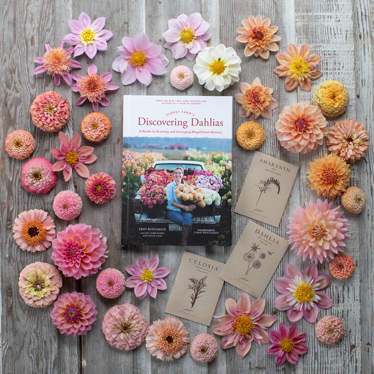 An overhead of Floret Farm’s Discovering Dahlias book and seed packet surrounded by flower heads
