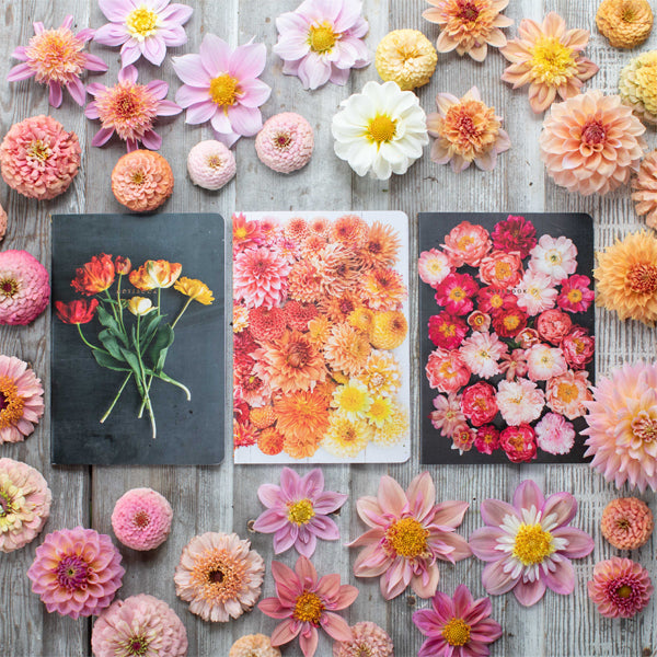Overhead of Floret notebook trio surrounded by blooms