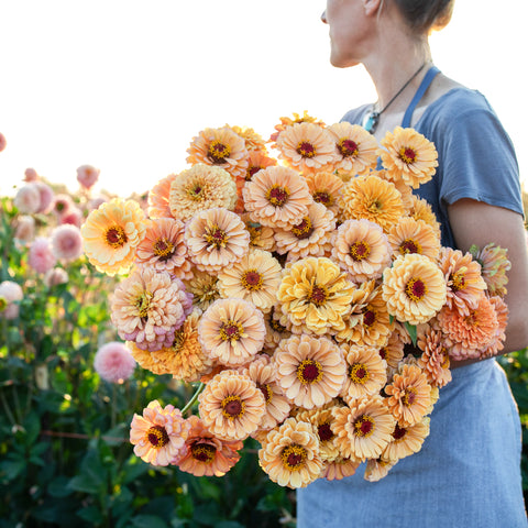 Flower Snips – Floret Flower Farm