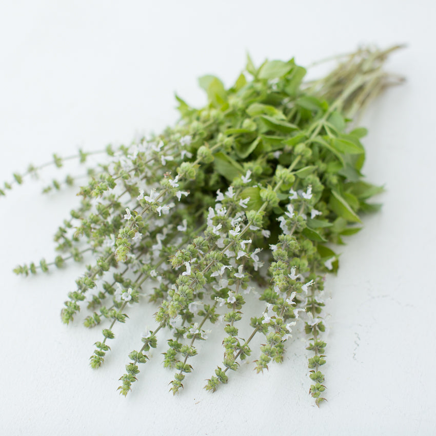 Basil Mrs. Burns Lemon Floret Flower Farm