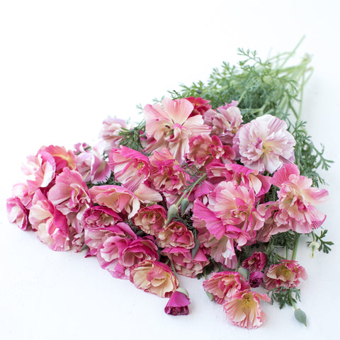 A bunch of California Poppy Thai Silk Appleblossom Chiffon