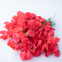 A bunch of Sweet Pea Florencecourt