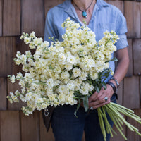 A handful of Stock Buttercream