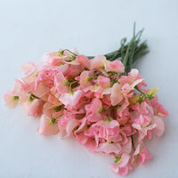 A bunch of Sweet Pea Spring Sunshine Champagne